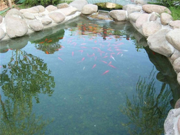 鱼池的设计-尚层景观设计(在线咨询)-鱼池