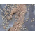 金蝉技术养殖,金蝉,亿鸣金蝉(查看)缩略图1