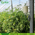 厂家* TWS-WS2现代农业日光温室智能自动监测系统缩略图3