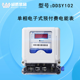 长沙威胜DDSY102单相电子式预付费电能表家用插卡电表 