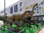 广西南宁大型恐龙展出租恐龙节策划布置场地恐龙厂家*价格报价缩略图4