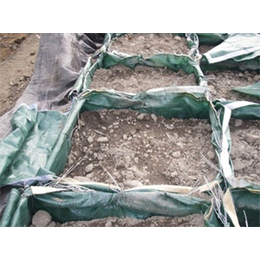 护坡土石笼袋|绿色石笼袋(在线咨询)|安顺石笼袋