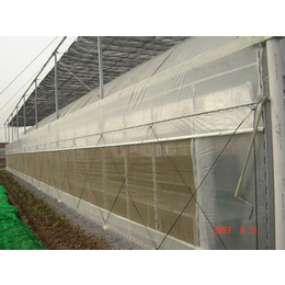 厂家生产防虫网 密度好抗拉力强 果树蔬菜均能使用效果好
