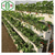 广西草莓种植槽立体栽培设备华耀现货批发优惠多多缩略图1