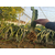 火龙果,柏源农业科技公司(图),如何种植火龙果缩略图1