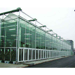 现代化玻璃温室、安阳盛丰温室工程、现代化玻璃温室建造