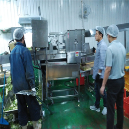 山东三智机械-萝卜干切段设备定做-通化萝卜干切段设备