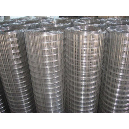 镀锌电焊网电焊网价格电焊网生产厂家
