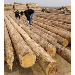 建筑木材木方,恒豪木业(在线咨询),建筑木材