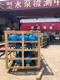 浮筒潜水泵 阜阳市浮筒潜水泵 天津浮筒潜水泵厂家