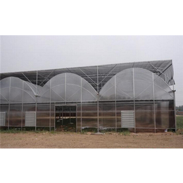 农业大棚|齐鑫温室园艺|农业大棚温室的项目