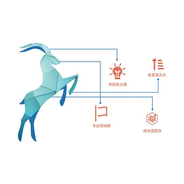 武汉瞪羚企业的认定流程有这些