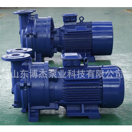 SZ水环式真空泵-博杰泵业-北京水环式真空泵