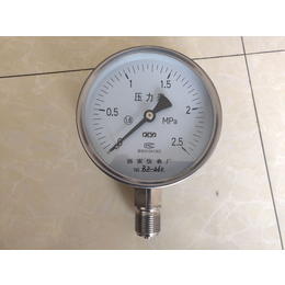 供应1.6级全不锈钢压力表YTF-100不锈钢压力表