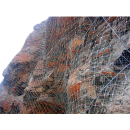 边坡防护网价格|山体滑坡防护网(在线咨询)|永州边坡防护网