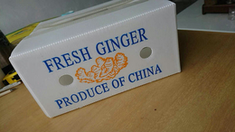 蔬菜包装箱用途-盘锦包装箱-弘特包装