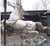 新疆广场大型铜马-世隆雕塑-广场大型铜马厂家缩略图1