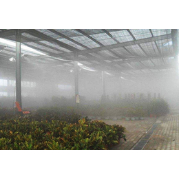 贵州人造雾系统-贝克*厂家-景观人造雾系统