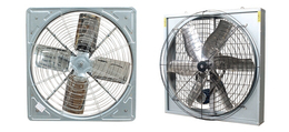 温室降温风机生产厂家-众诺温控设备(在线咨询)-哈密风机