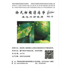 软枣猕猴桃茎腐病-龙泰生物病害防治-茎腐病