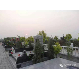 天津永安陵、天津公墓(在线咨询)、永安陵