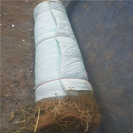 植物纤维毯保湿绿化_植物纤维毯_河南植物纤维毯(查看)