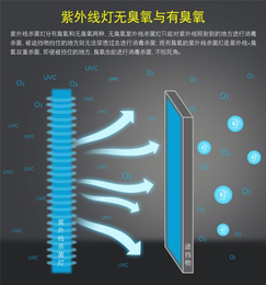 灯管费用-浙江灯管-厦门展东(查看)