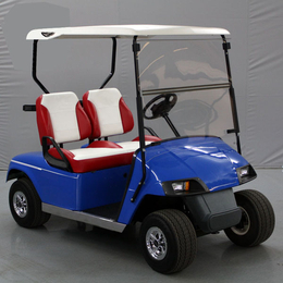 无锡德士隆电动科技-黄山市电动高尔夫球车