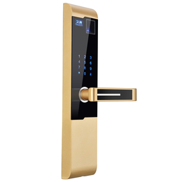 家用密码门锁-振华锁具(在线咨询)-邢台密码锁