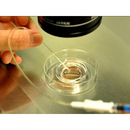 嘉圆国际_做泰国试管婴儿的胚胎如何划分