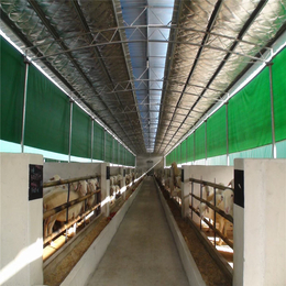 猪场卷帘布的优势养殖场卷帘布生产厂家保暖牛棚卷帘布的特点