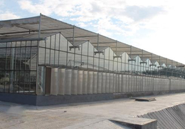 乌海玻璃温室-鑫华生态农业科技发展-蔬菜玻璃温室