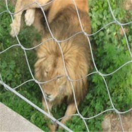 宁夏动物园*狮子笼舍不锈钢绳网