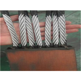 钢丝绳抽油机皮带-泰六抽油机皮带(在线咨询)-抽油机皮带