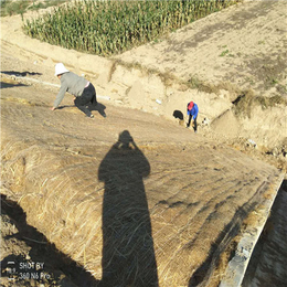 定制生态植被毯(图)-植被毯护坡固土-植被毯