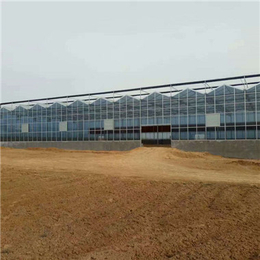 玻璃温室-玻璃温室工程-玻璃温室大棚整体