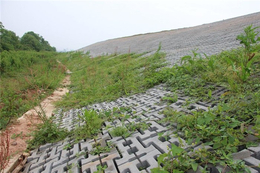 透水砖-建菱彩砖-透水砖批发