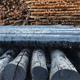 油木杆|振华防腐材料|油木杆生产厂家