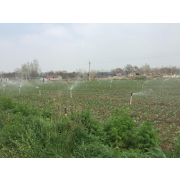 智能灌溉系统|兵峰、农业智能生产系统|农业智能灌溉系统设计
