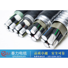铝合金电缆的价格,西安电缆厂(在线咨询),渭南铝合金电缆