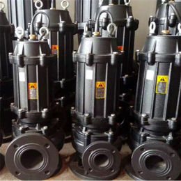 萍乡潜水泵-100WQ100-15潜污泵-农用潜水泵价格