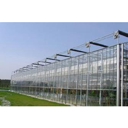 玻璃温室公司_鑫和温室园艺(在线咨询)_山东玻璃温室缩略图