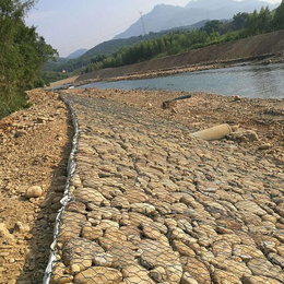 坡脚基础防护固滨笼 河道防洪格宾石笼 河床护底绿滨垫 宾格笼