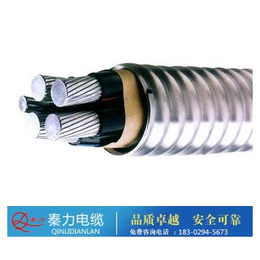 铝合金电缆载流量|陕西电缆厂|铜川铝合金电缆