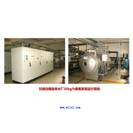 臭氧*氧化在污水处理应用中的设备及工艺