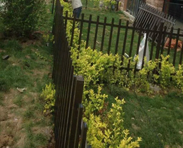 合肥绿化栏杆-庭院绿化栏杆造价-安徽金戈(推荐商家)