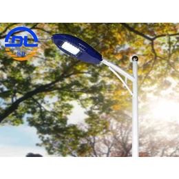 农村LED路灯加工-东龙新能源公司-上海农村LED路灯
