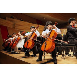 大提琴老师,音妙艺术传播中心(在线咨询),南宁学大提琴