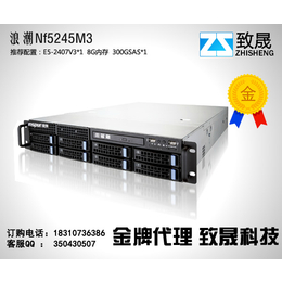 菏泽浪潮服务器nf5170m4出厂价、致晟科技(图)