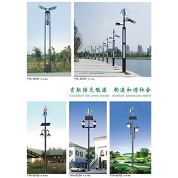 8米太阳能路灯厂家,金流明灯具*,邯郸太阳能路灯